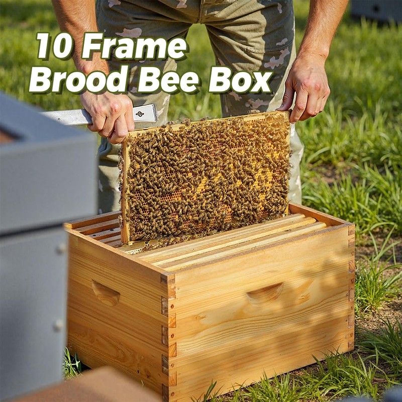 POLLIBEE 8 Frame Deep Brood Bee Hive Box Dipped in