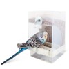 Paquete de 2 comederos automáticos para pájaros, alimentadores de loros,