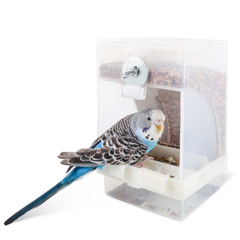 Paquete de 2 comederos automáticos para pájaros, alimentadores de loros,