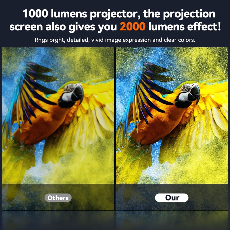 XIAOHUI Premium Portable Outdoor Projector Screen, 120 Inch, 16:9 Aspect