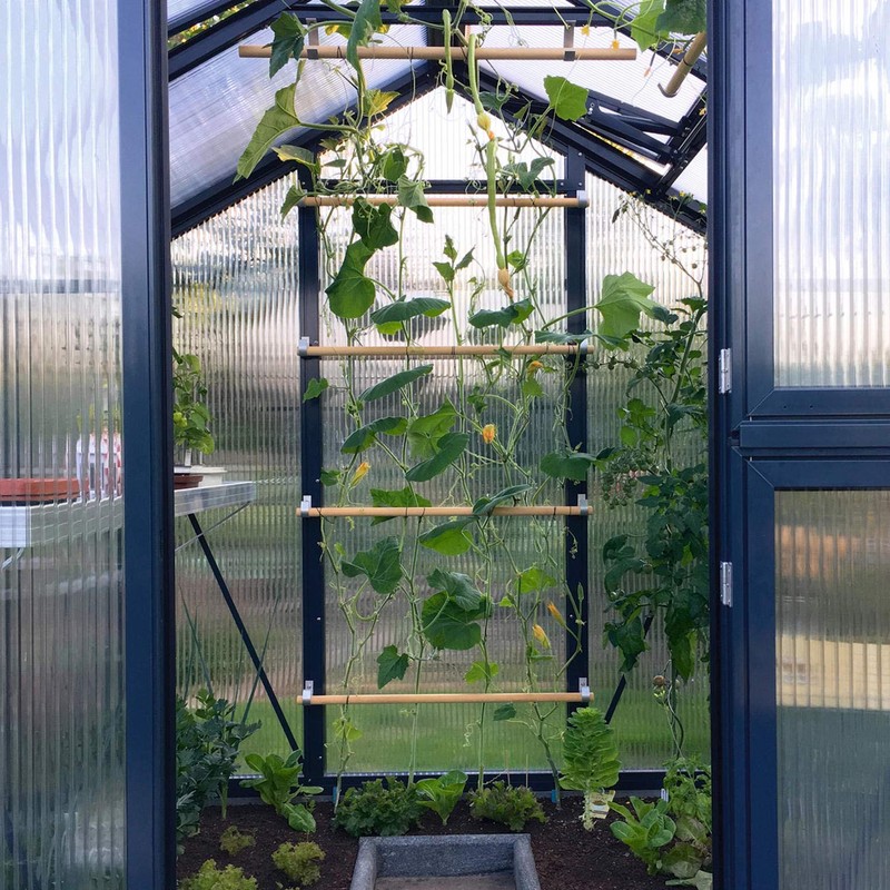 Beckmann RHH Trellis Holder Set of 5