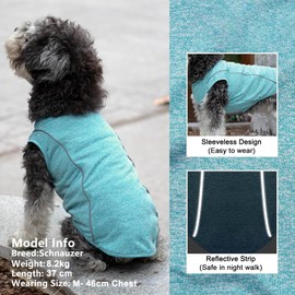 Pack of 2 Dog Shirts for Small Dogs, Sporty, Breathable Shirts with Reflective Stripes, Athletic Tank Top, Lightweight Dog Clothing, Lake Blue + Purple, L