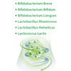 Lakto Bifido Dr. Jacob's Capsules Pack of 90 Capsules