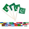 JBCD Pakistan Toothpick Flag Pakistani Mini Small Cupcake Topper Flags,