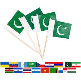JBCD Pakistan Toothpick Flag Pakistani Mini Small Cupcake Topper Flags, 100pcs