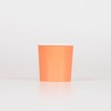Papaya Tumbler Cups