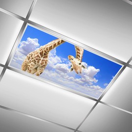 2 Pack Fluorescent Light Cover for Ceiling Light Classroom- Funnu Giraffe Magnetic Light Cover Fluorescent Light Shade Panel, Decorative Film Filter for Reducing Harsh Glare Flicker Home Decorations