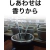 【 SAZA Luxury Blend Beans 200g 】SAZA Coffee SAZA COFFEE｜Regular