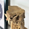 Darthome Teak Root Beehive Sculpture Hand Carved Rustic Wood 3