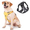 LIOPARD Dog Harness, Easy Walk Pet Harness No Pull with