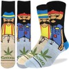 Good Luck Sock Men's Cheech & Chong, Characters Socks, Adult,