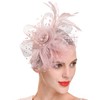 Fascinators for Women Girls, Tea Party Hats, Kentucky Derby Hats,