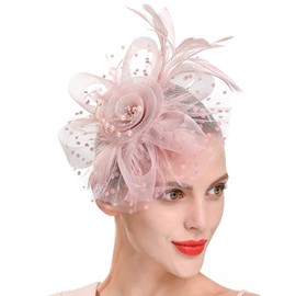 Fascinators for Women Girls, Tea Party Hats, Kentucky Derby Hats, Derby Hat, Fascinator Flower Ribbons Mesh Feathers Headwear Matte Pink