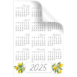 Annual Year-At-A-Glance Calendar Sticker Decal | Removable and Repositionable (Lemon Fresh 2025, 6 x 9 inches)