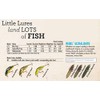 Rebel Lures S72274 Hellgrammite Fishing Lure, Mature, 1 3/4-Inch, 3/32-Ounce