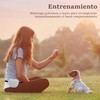 Bolsa de Silicona para Golosinas para Perros, Paquete de 2