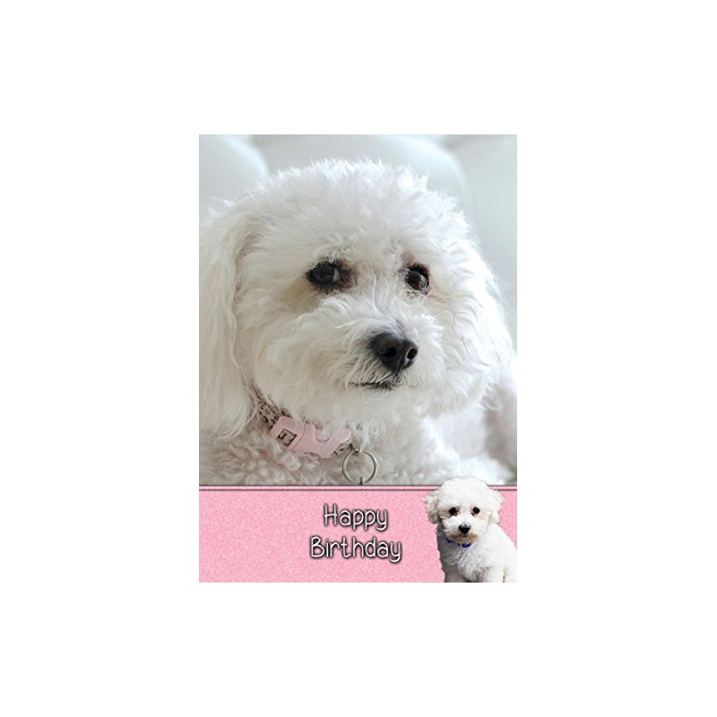 Bichon Frise Birthday Card
