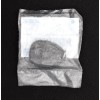 General Motors New OEM in Sealed Bag Chevy GM Remote