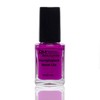 Stamping Nail Polish Neon Set Red Yellow Green Pink Purple