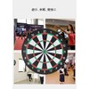 pont du monde Dart Board with Arrows Double-sided for Competition