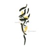 Eshai China Jasmine Tea (Mo Li Hua Cha) - Scented