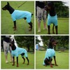 LoveLongLong Dog Jumpsuit with UV Protection and Quick-Dry Fabric for