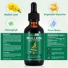 Mullein Leaf Extract Mullein Leaf Extract for Lungs Mullein Drops