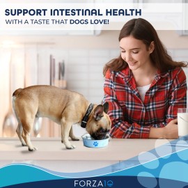 TD Forzato10 Active Turkey Flavor Dry Dog Food Intestinal Support Diet for Dogs Cats Pets Fish Pet Health Care Soft Chew PowderSize: 6-lb bag