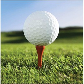 Creative Converting 16 Count Sports Fanatic Lunch Napkins, White/Green