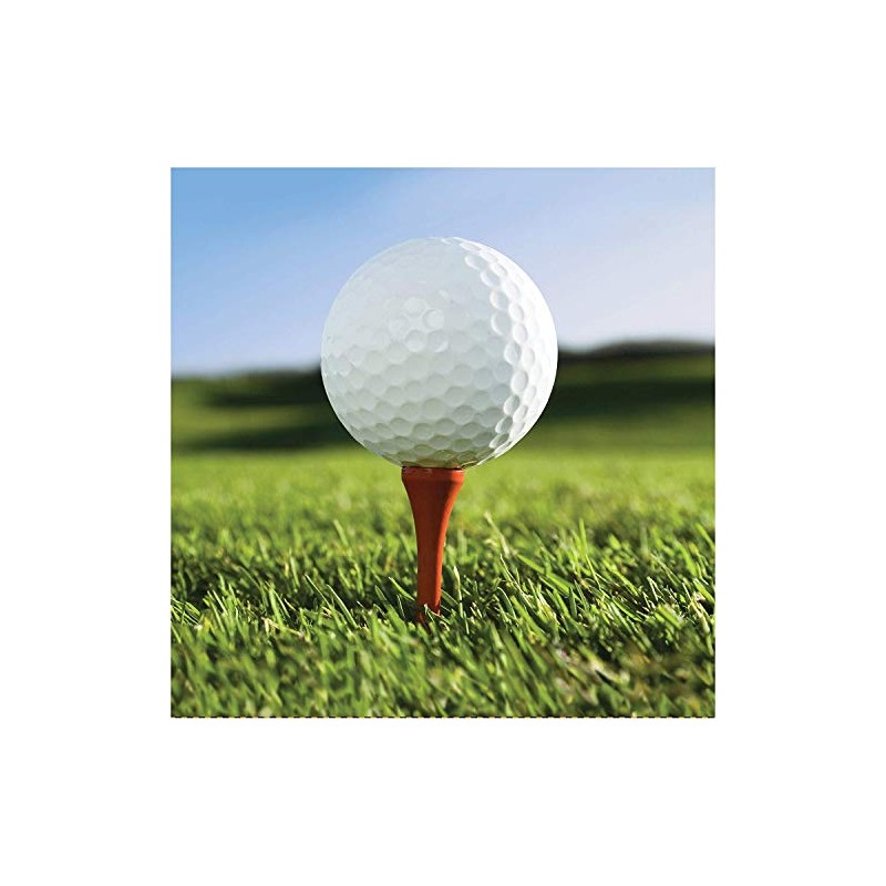 Creative Converting 16 Count Sports Fanatic Lunch Napkins, White/Green