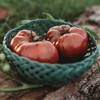 Black Krim Heirloom Purple Slicing Tomato - 50 Seeds -