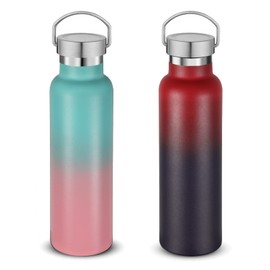 Neihepal - Botellas de agua aisladas de 20 onzas, paquete de 2 unidades, botella deportiva de doble pared de acero inoxidable con tapa de asa, termoses reutilizables de metal para escuela, ciclistas,