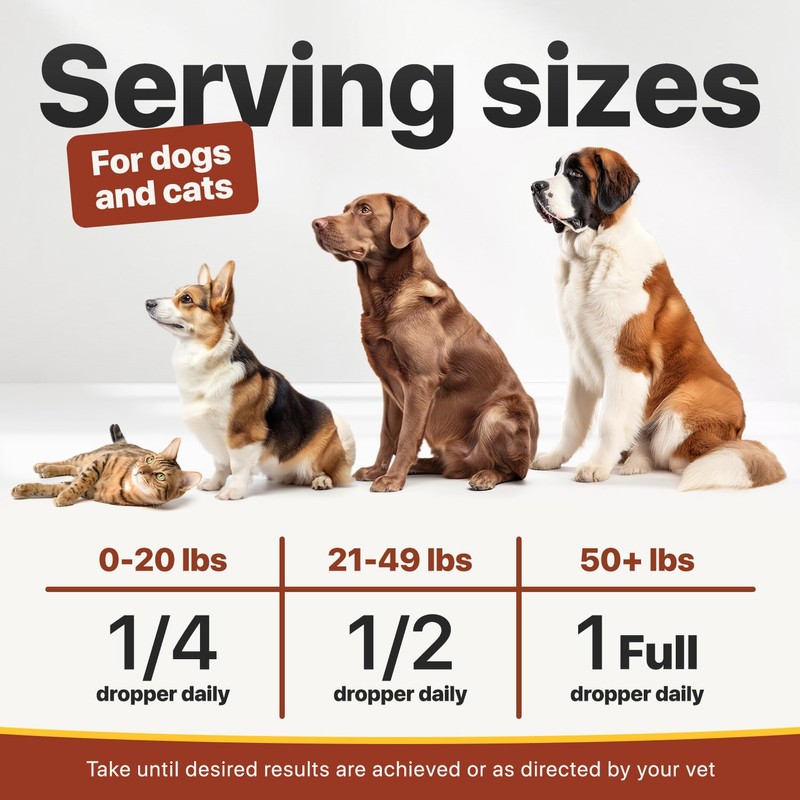 Charlie Buddy - Hеmp Oil for Dogs Cats - Hip