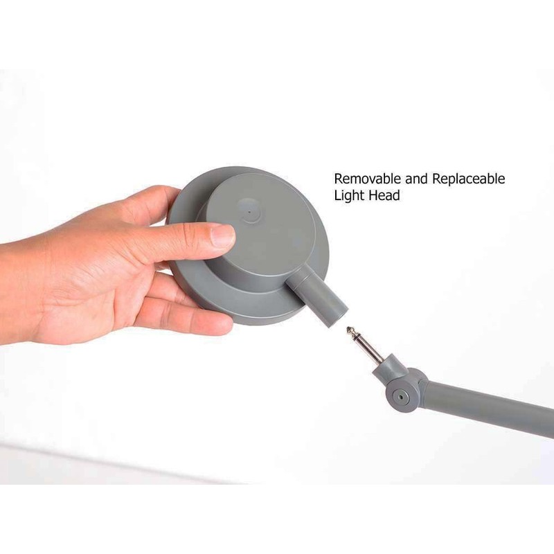 ZTRA LED Task Lamp with USB Charging Base and Dimmer,