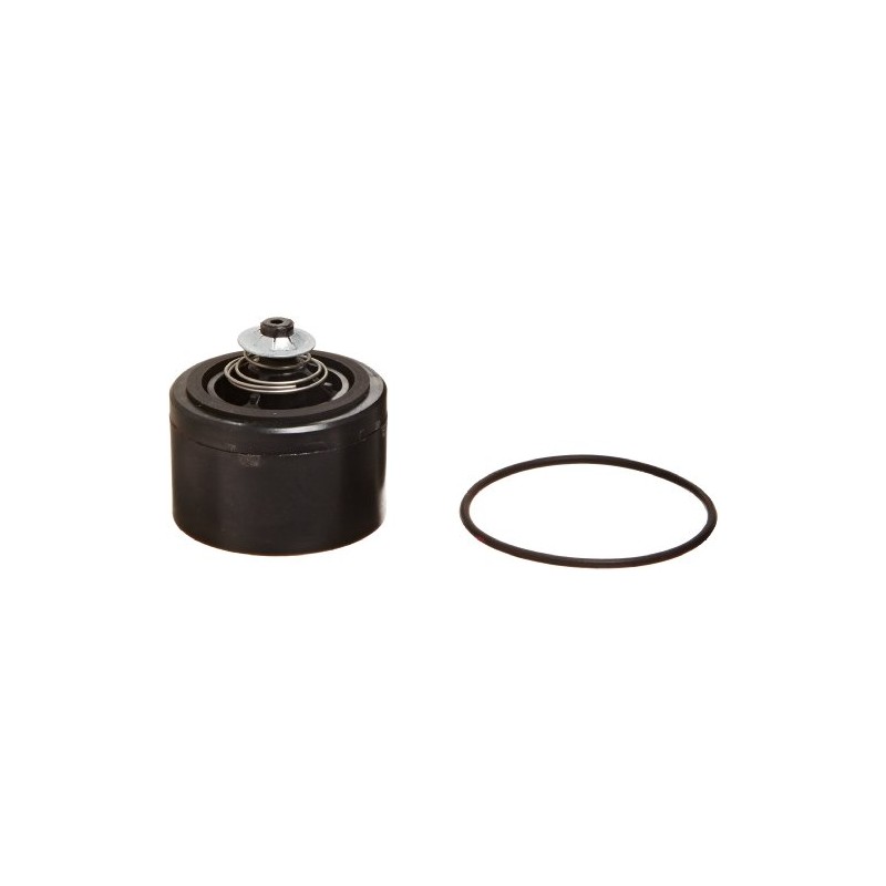 Fill-Rite KIT700CV Kit, check Valve Assembly 700 Series