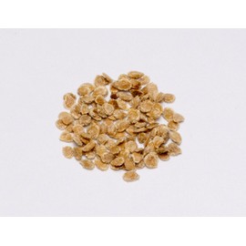 DesertUSA Floradel Tomato Seeds - Solanum lycopersicum - Plant with Confidence - 125+ Heirloom, Non-GMO Seeds for Bountiful Harvests!