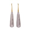 Wise Instruments Surgical Elevator Small Cryer Set of 2 East