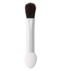 MUJI 02868062 Eye Color Tip for Case with Brush, Pack