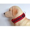 BUDDYPACK Dog Collar Extra Wide and Soft Padded for Small,