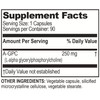 Brain Basics Ultra Alpha-GPC | 500 mg A-GPC | 90