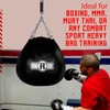 Ringside Boxing Training Heavy Duty Bag Spring (Up to 150