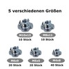 Set of 100 Drive-in Nuts with 4 Drive-In Tips Similar