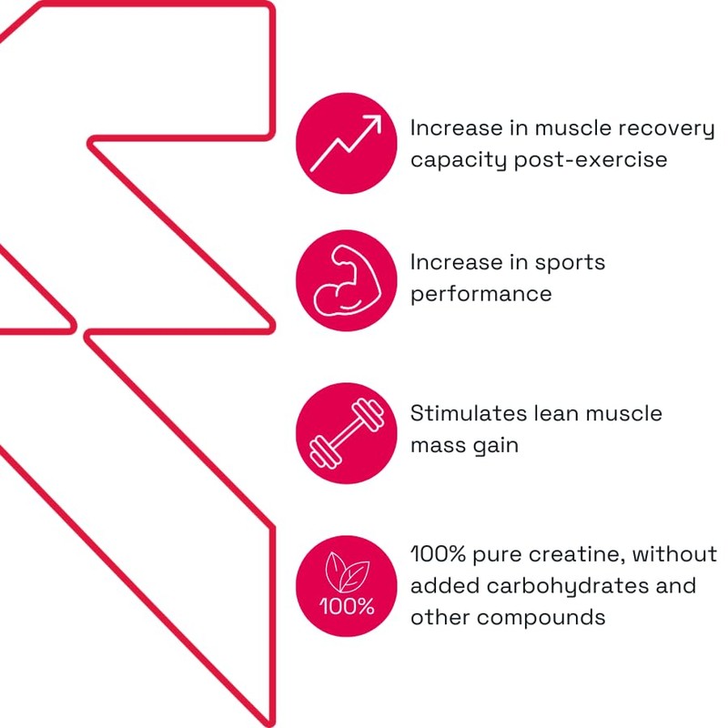 EVERNA Creatine Monohydrate Powder, 10.58oz (300g) Unflavored, 100 Servings, 100%