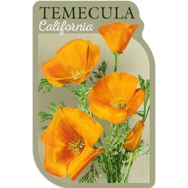 Lantern Press Sticker Temecula, California, Poppies, Die Cut Vinyl, (Waterproof Decal for Cars, Water Bottles, Laptops, Coolers), Small