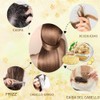 Champú Con Jengibre Para El Crecimiento Del Cabello