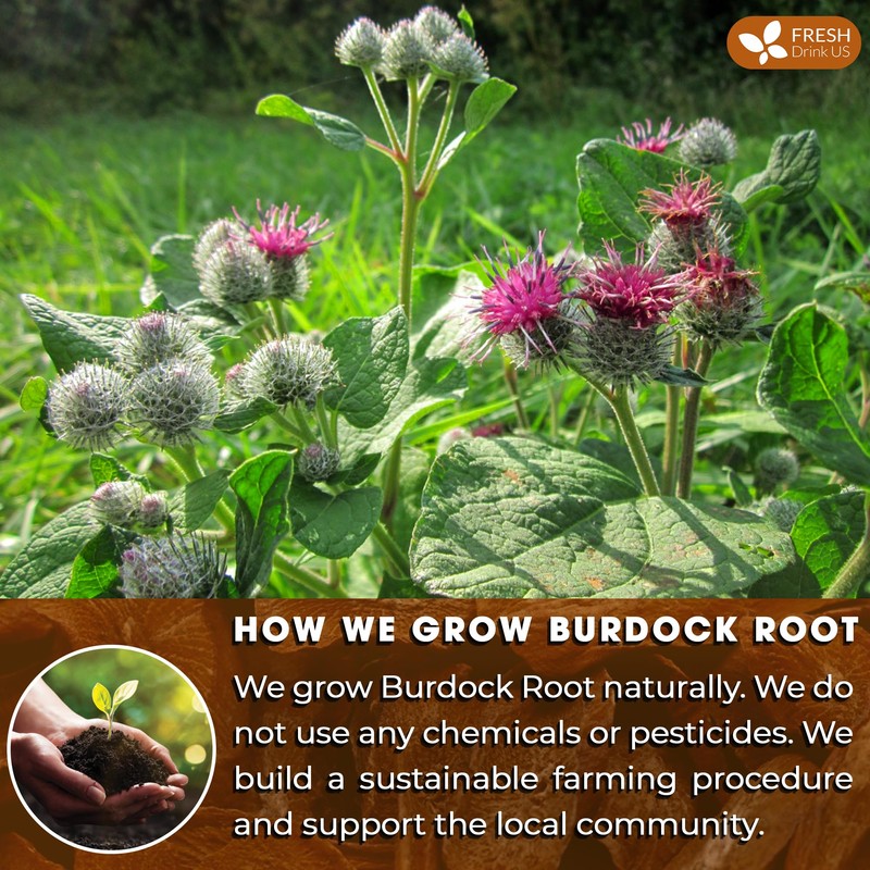 FRESHDRINKUS, Premium 20oz Burdock Root Powder, 100% Natural & Pure