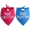 Big Brother Big Sister Dog Bandana 2 Pack