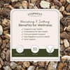 Starwest Botanicals Burdock Root Organic - Natural Source of Antioxidants,