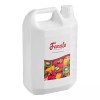 FixtureDisplays Fanale Lychee Concentrated Syrup 134 fl. oz. ?535FSYPLYCHE