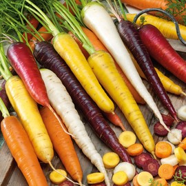 Eden Brothers Carrot Seeds - Rainbow Blend Non-GMO Seeds for Planting, 1 Ounce | Low-Maintenance Vegetable Seeds, Plant During Warm Season, Zones 2, 3, 4, 5, 6, 7, 8, 9, 10